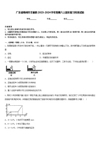 广东省梅州市丰顺县2023-2024学年物理八上期末复习检测试题含答案