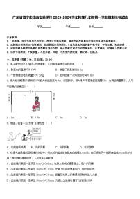 广东省普宁市华南实验学校2023-2024学年物理八年级第一学期期末统考试题含答案