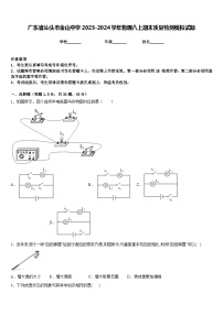 广东省汕头市金山中学2023-2024学年物理八上期末质量检测模拟试题含答案