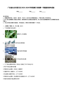 广东省汕头市濠江区2023-2024学年物理八年级第一学期期末联考试题含答案