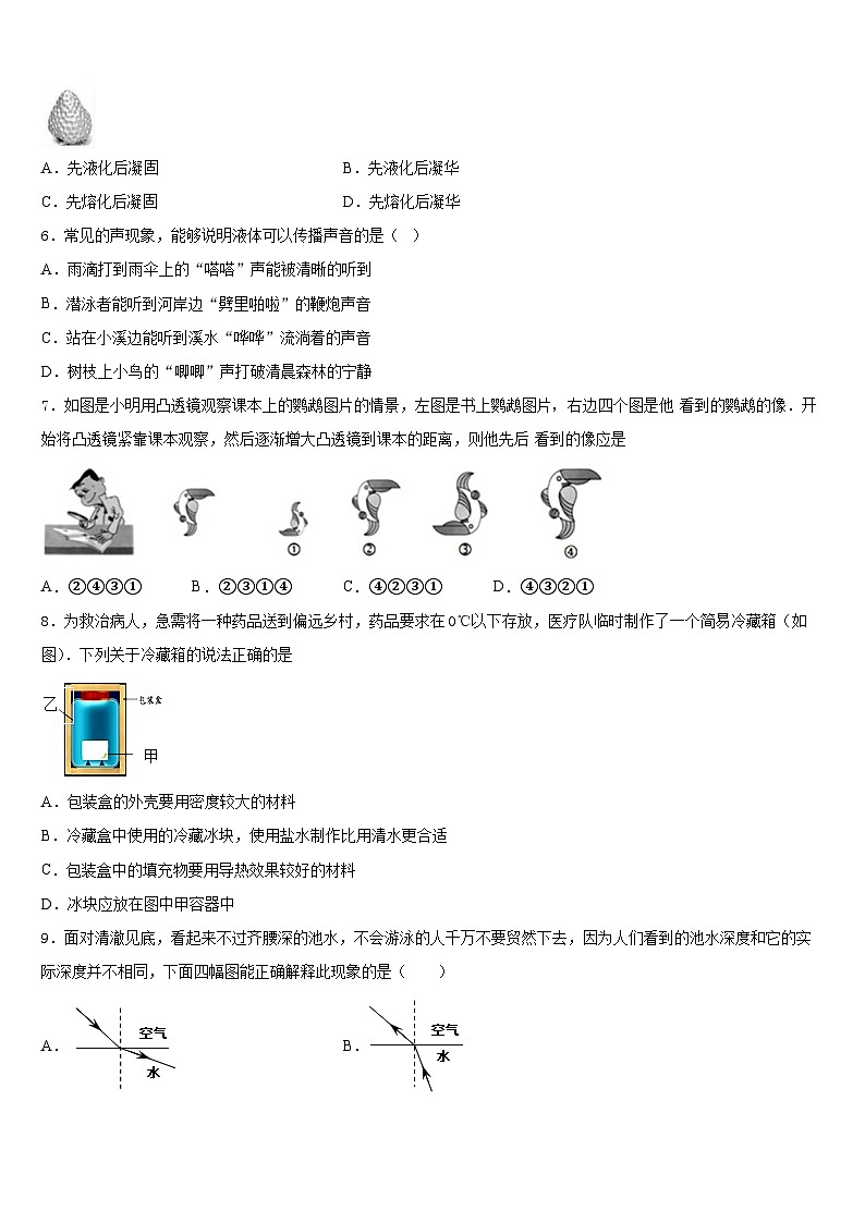 广东省深圳中学2023-2024学年物理八年级第一学期期末考试试题含答案第2页