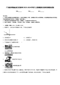 广东省深圳南山区五校联考2023-2024学年八上物理期末达标检测模拟试题含答案