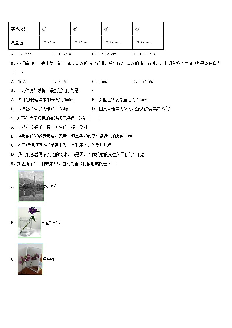 广东省深圳市育才一中学2023-2024学年八上物理期末质量检测试题含答案第2页