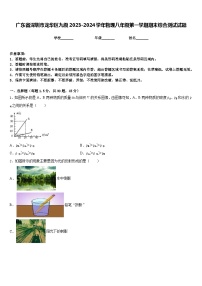 广东省深圳市龙华区九级2023-2024学年物理八年级第一学期期末综合测试试题含答案