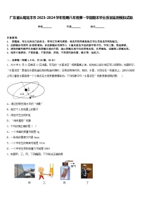 广东省汕尾陆丰市2023-2024学年物理八年级第一学期期末学业质量监测模拟试题含答案