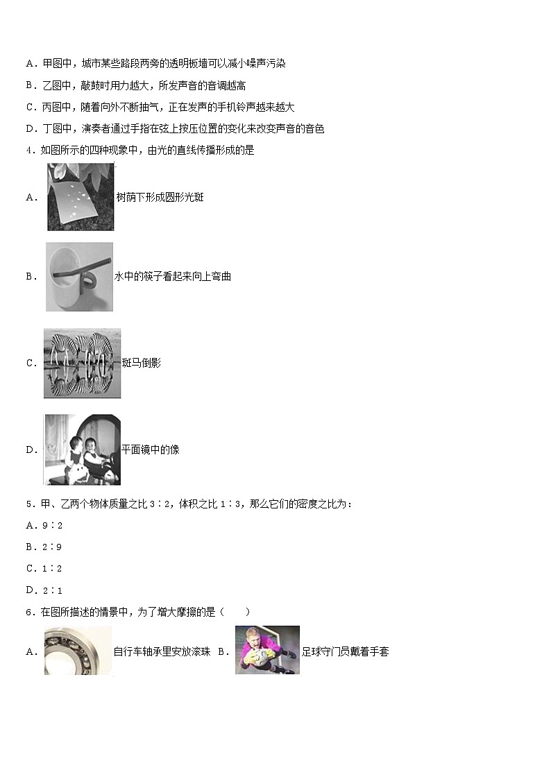 广东省汕尾陆丰市2023-2024学年物理八年级第一学期期末学业质量监测模拟试题含答案第2页