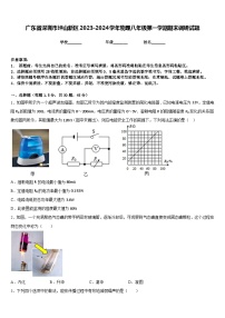 广东省深圳市坪山新区2023-2024学年物理八年级第一学期期末调研试题含答案