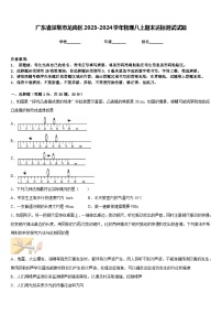 广东省深圳市龙岗区2023-2024学年物理八上期末达标测试试题含答案