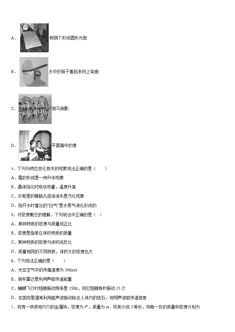 广东省深圳市桃源中学2023-2024学年物理八上期末质量跟踪监视试题含答案第2页