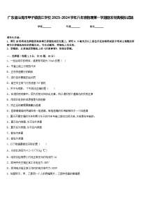 广东省汕尾市甲子镇瀛江学校2023-2024学年八年级物理第一学期期末经典模拟试题含答案