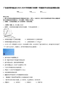 广东省深圳市南山区2023-2024学年物理八年级第一学期期末学业质量监测模拟试题含答案