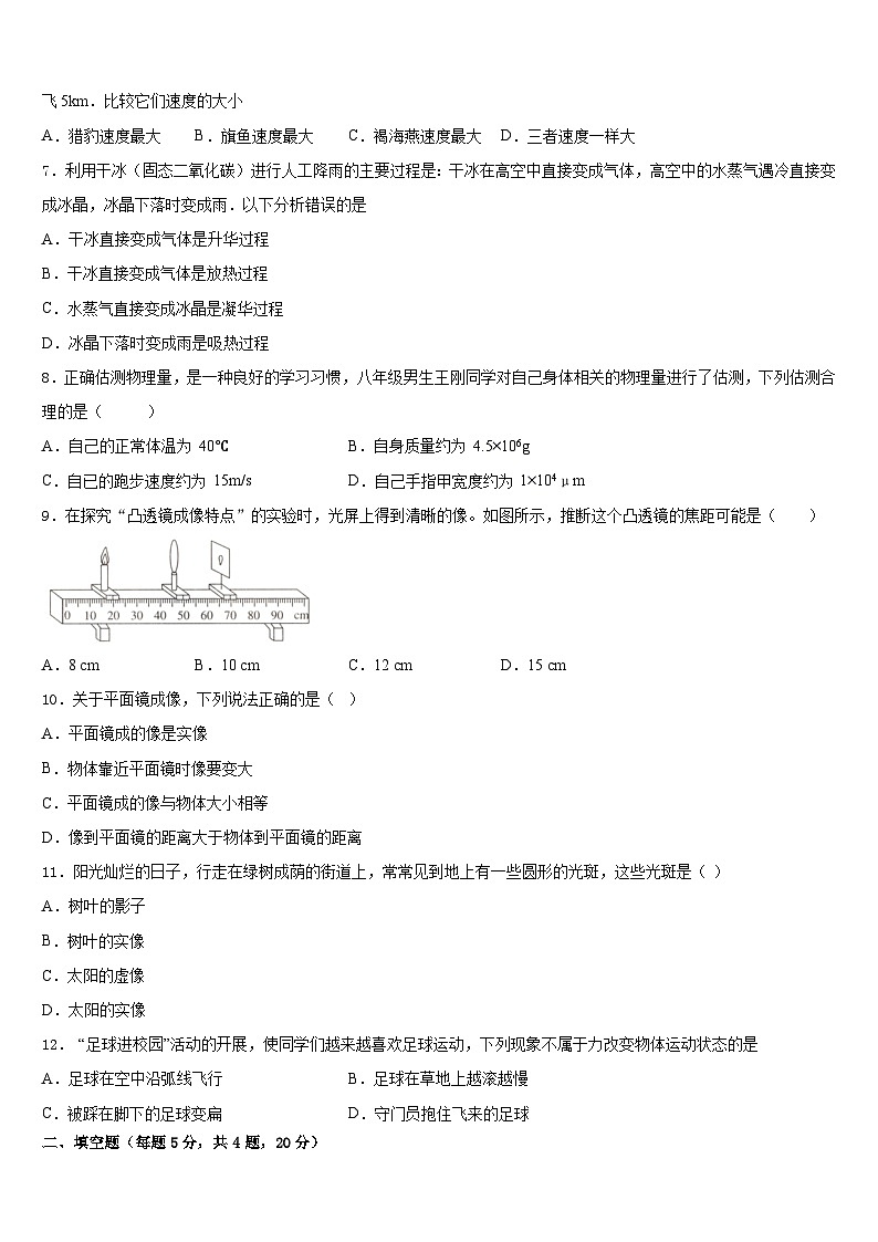 广东省深圳市深圳外国语2023-2024学年物理八年级第一学期期末学业质量监测试题含答案第2页