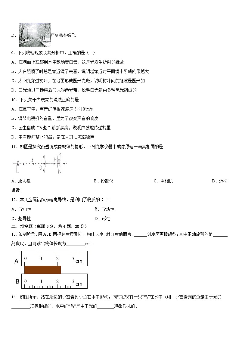 广东省深圳市光明区公明中学2023-2024学年八上物理期末达标检测试题含答案03