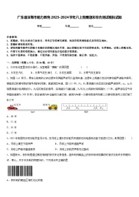 广东省深圳市助力教育2023-2024学年八上物理期末综合测试模拟试题含答案