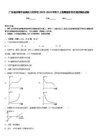 广东省深圳市龙岗区六约学校2023-2024学年八上物理期末综合测试模拟试题含答案