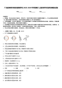 广东省潮州市潮安区雅博学校2023-2024学年物理八上期末教学质量检测模拟试题含答案