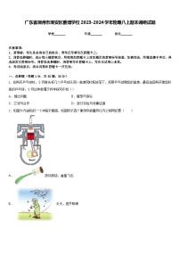 广东省潮州市潮安区雅博学校2023-2024学年物理八上期末调研试题含答案