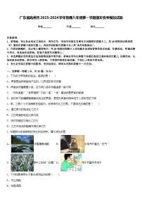 广东省高州市2023-2024学年物理八年级第一学期期末统考模拟试题含答案