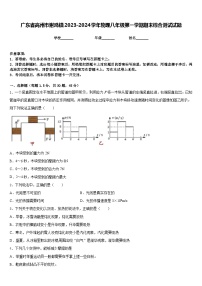 广东省高州市谢鸡镇2023-2024学年物理八年级第一学期期末综合测试试题含答案