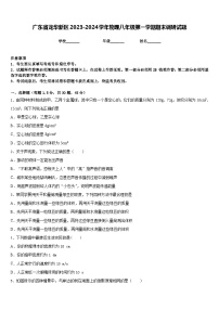 广东省龙华新区2023-2024学年物理八年级第一学期期末调研试题含答案