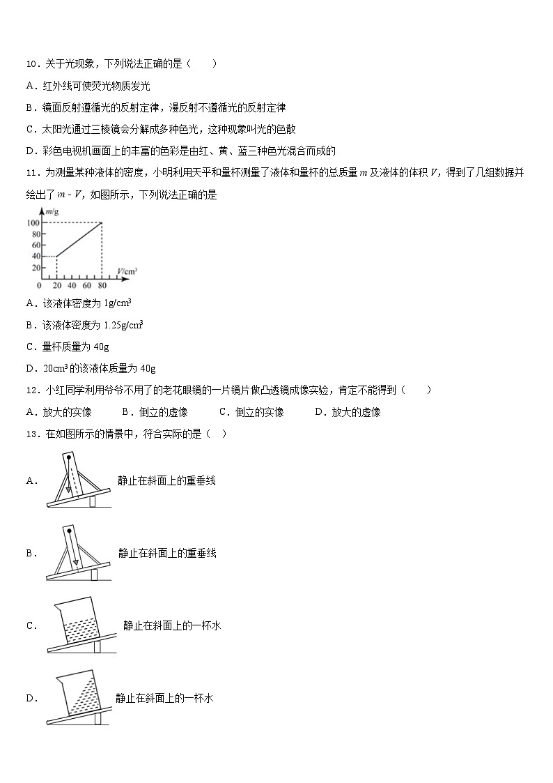 广东省龙华新区2023-2024学年物理八年级第一学期期末调研试题含答案第3页