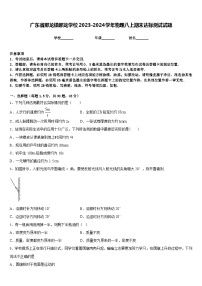 广东省那龙镇那龙学校2023-2024学年物理八上期末达标测试试题含答案