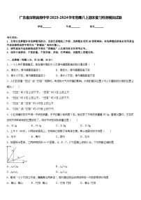 广东省深圳高级中学2023-2024学年物理八上期末复习检测模拟试题含答案