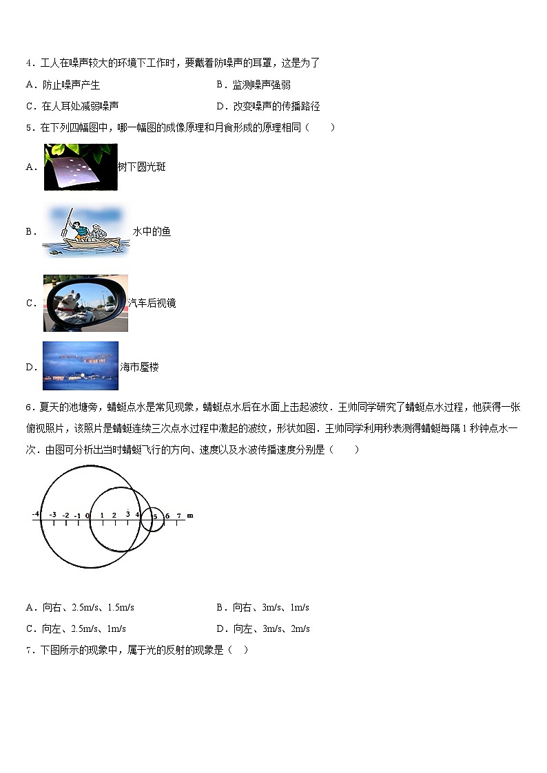 广东省深圳市龙岗区布吉中学2023-2024学年八上物理期末统考模拟试题含答案02