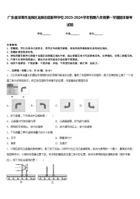 广东省深圳市龙岗区龙岗街道新梓学校2023-2024学年物理八年级第一学期期末联考试题含答案