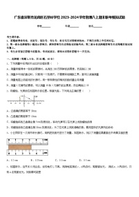 广东省深圳市龙岗区石芽岭学校2023-2024学年物理八上期末联考模拟试题含答案