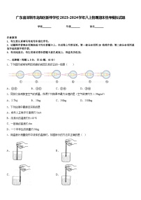 广东省深圳市龙岗区新梓学校2023-2024学年八上物理期末统考模拟试题含答案