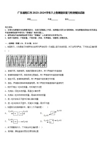 广东省阳江市2023-2024学年八上物理期末复习检测模拟试题含答案