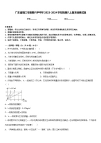 广东省阳江市阳春八甲中学2023-2024学年物理八上期末调研试题含答案