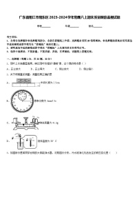 广东省阳江市阳东区2023-2024学年物理八上期末质量跟踪监视试题含答案