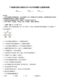 广东省湛江地区六校联考2023-2024学年物理八上期末联考试题含答案