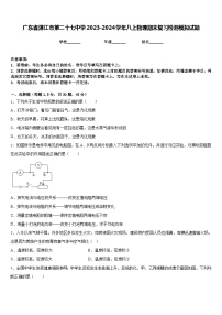 广东省湛江市第二十七中学2023-2024学年八上物理期末复习检测模拟试题含答案