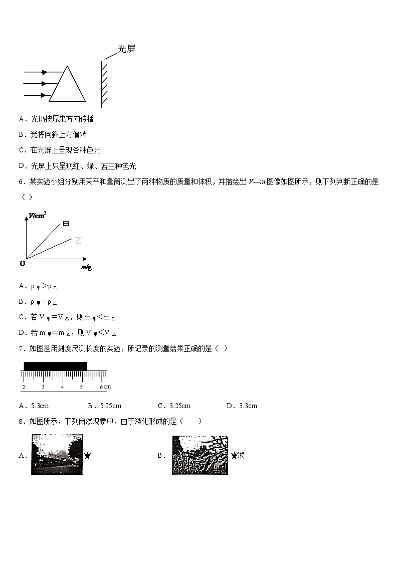 广东省湛江市第二十二中学2023-2024学年八上物理期末教学质量检测试题含答案第2页