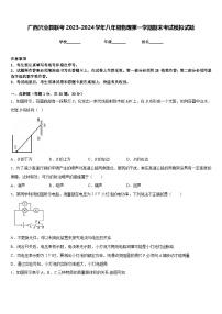 广西兴业县联考2023-2024学年八年级物理第一学期期末考试模拟试题含答案