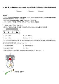 广东省湛江市徐闻县2023-2024学年物理八年级第一学期期末教学质量检测模拟试题含答案