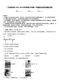 广东省珠海市2023-2024学年物理八年级第一学期期末质量检测模拟试题含答案