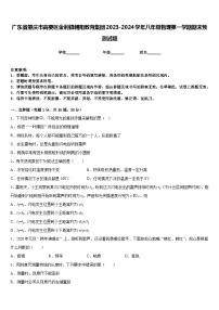 广东省肇庆市高要区金利镇朝阳教育集团2023-2024学年八年级物理第一学期期末预测试题含答案