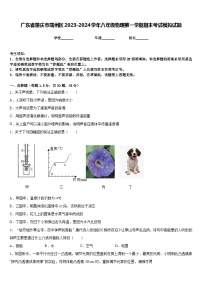 广东省肇庆市端州区2023-2024学年八年级物理第一学期期末考试模拟试题含答案