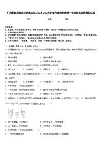 广西北部湾经济区四市同城2023-2024学年八年级物理第一学期期末调研模拟试题含答案