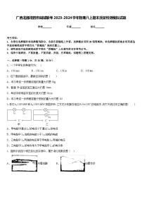 广西北部湾四市同城联考2023-2024学年物理八上期末质量检测模拟试题含答案