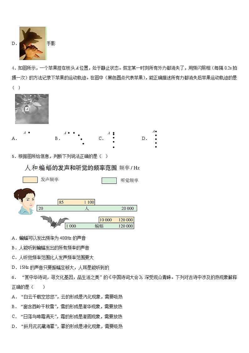 广西博白县2023-2024学年八年级物理第一学期期末统考模拟试题含答案02