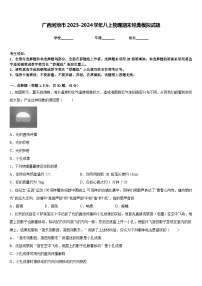 广西河池市2023-2024学年八上物理期末经典模拟试题含答案