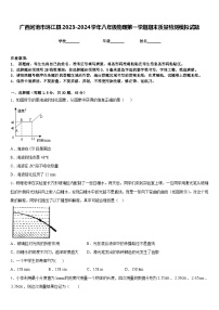 广西河池市环江县2023-2024学年八年级物理第一学期期末质量检测模拟试题含答案