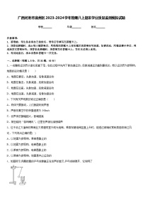 广西河池市宜州区2023-2024学年物理八上期末学业质量监测模拟试题含答案