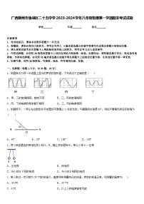 广西柳州市鱼峰区二十五中学2023-2024学年八年级物理第一学期期末考试试题含答案