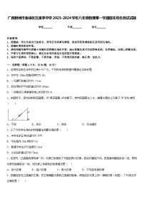 广西柳州市鱼峰区五里亭中学2023-2024学年八年级物理第一学期期末综合测试试题含答案